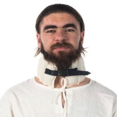 Padded collar image-1