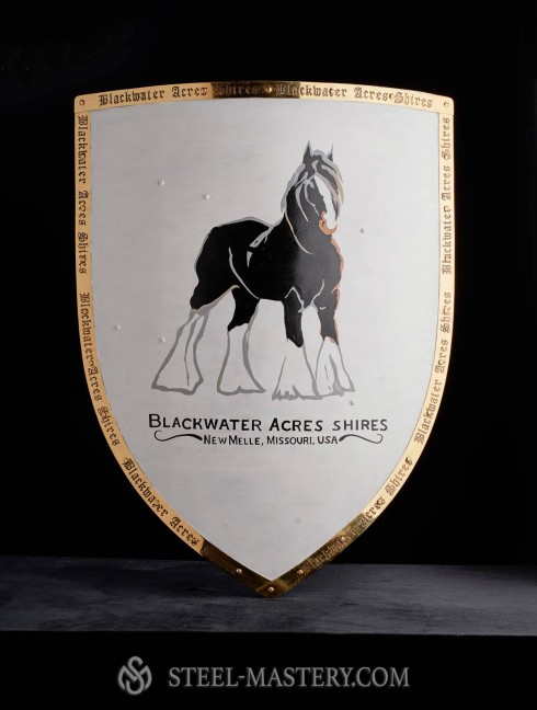 Steel shield Plattenrüstungen