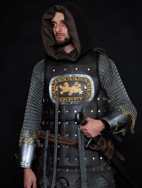 13 century European armour in colours of the English royal house Corazza
