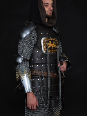13 century European armour in colours of the English royal house Full armour