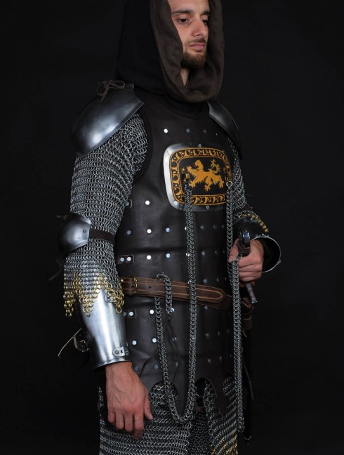 13 century European armour in colours of the English royal house Full armour
