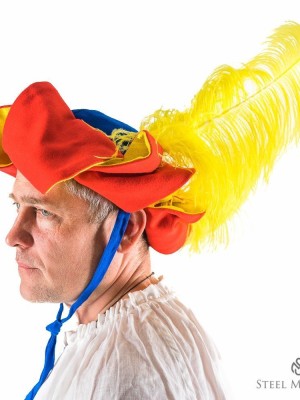 Landsknecht s hat with feathers