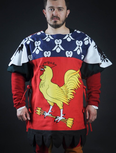 Coat of arms (tabard) with cock with arrows Body