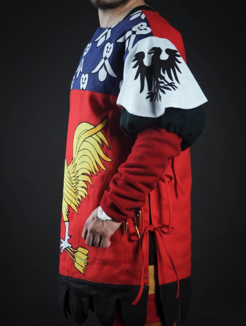 Coat of arms (tabard) with cock with arrows Body