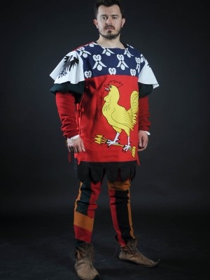 Coat of arms (tabard) with cock with arrows