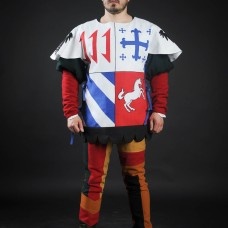 Quarter colored tabard with unicorn image-1