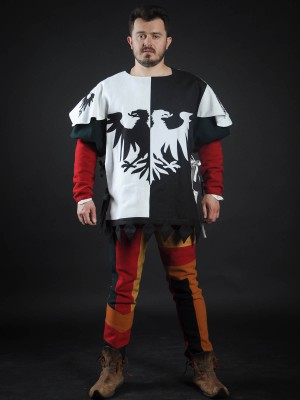Half-colored tabard with black and white half-eagles  Body