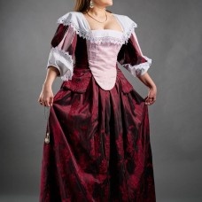 French Dress with Virago Sleeves, early XVIIth century  image-1