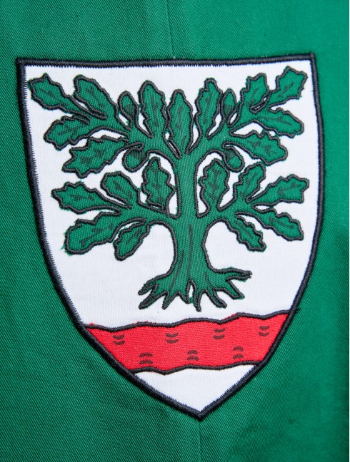 Sleevles green tabard with oak tree  Alte Kategorien