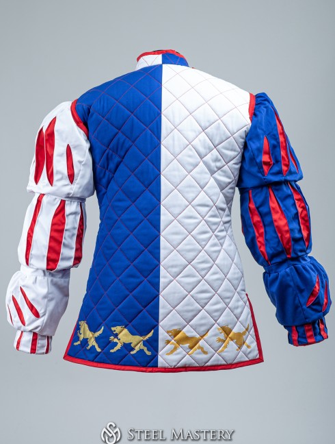 Custom gambeson in style of Warhammer, Middenland  Gambeson