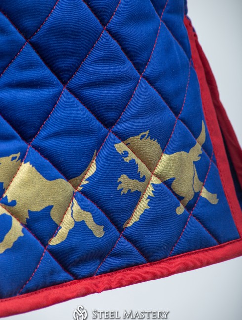 Custom gambeson in style of Warhammer, Middenland  Gambeson
