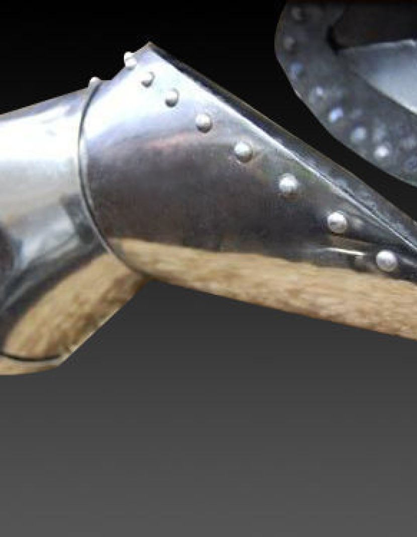 Milanese Style Gauntlets photo made by Steel-mastery.com