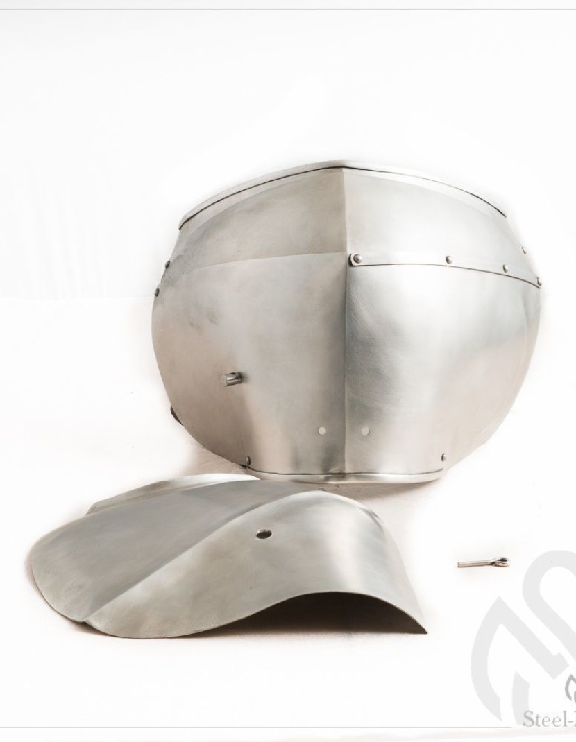 Milan-style pauldrons 1450-1485 years, a part of "Avant Armour" photo made by Steel-mastery.com