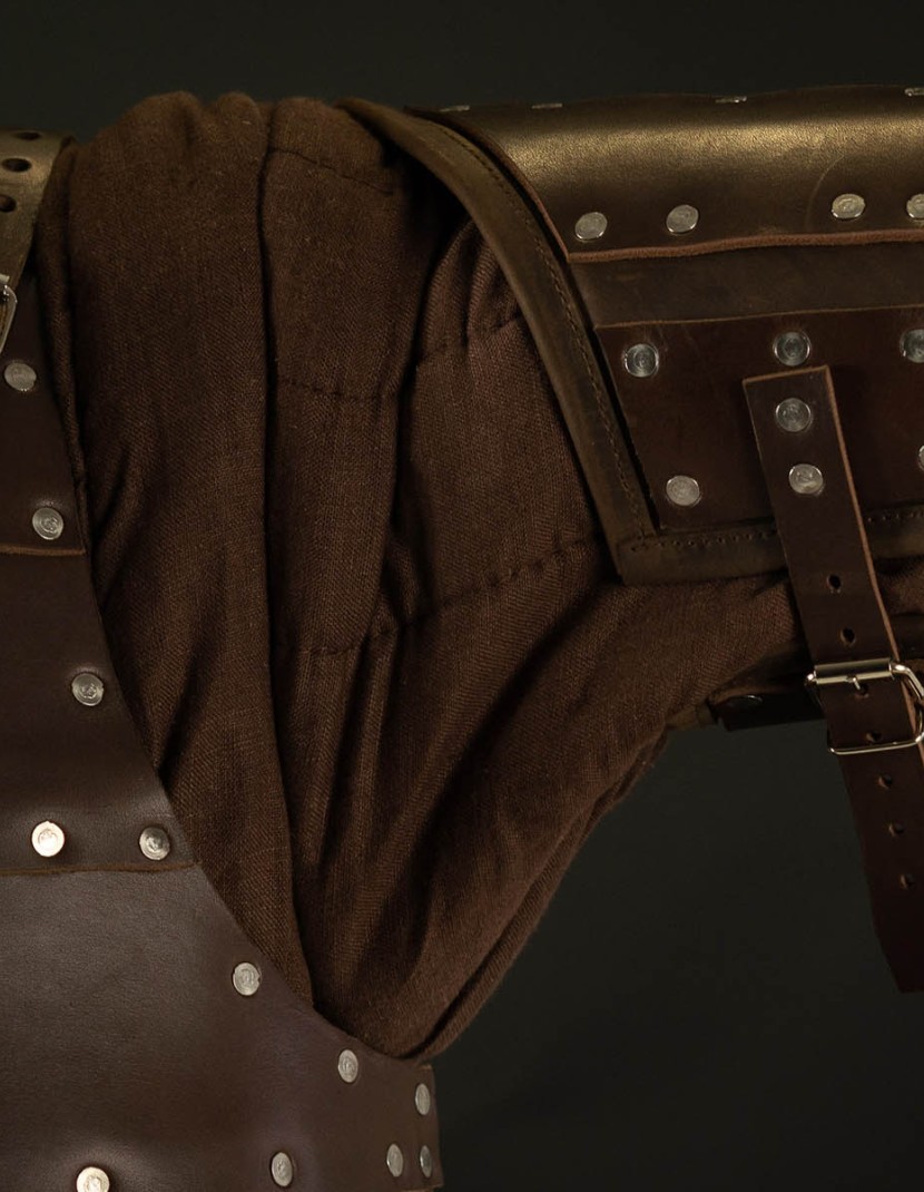 Leather brigantine kit in style of 14th century photo made by Steel-mastery.com