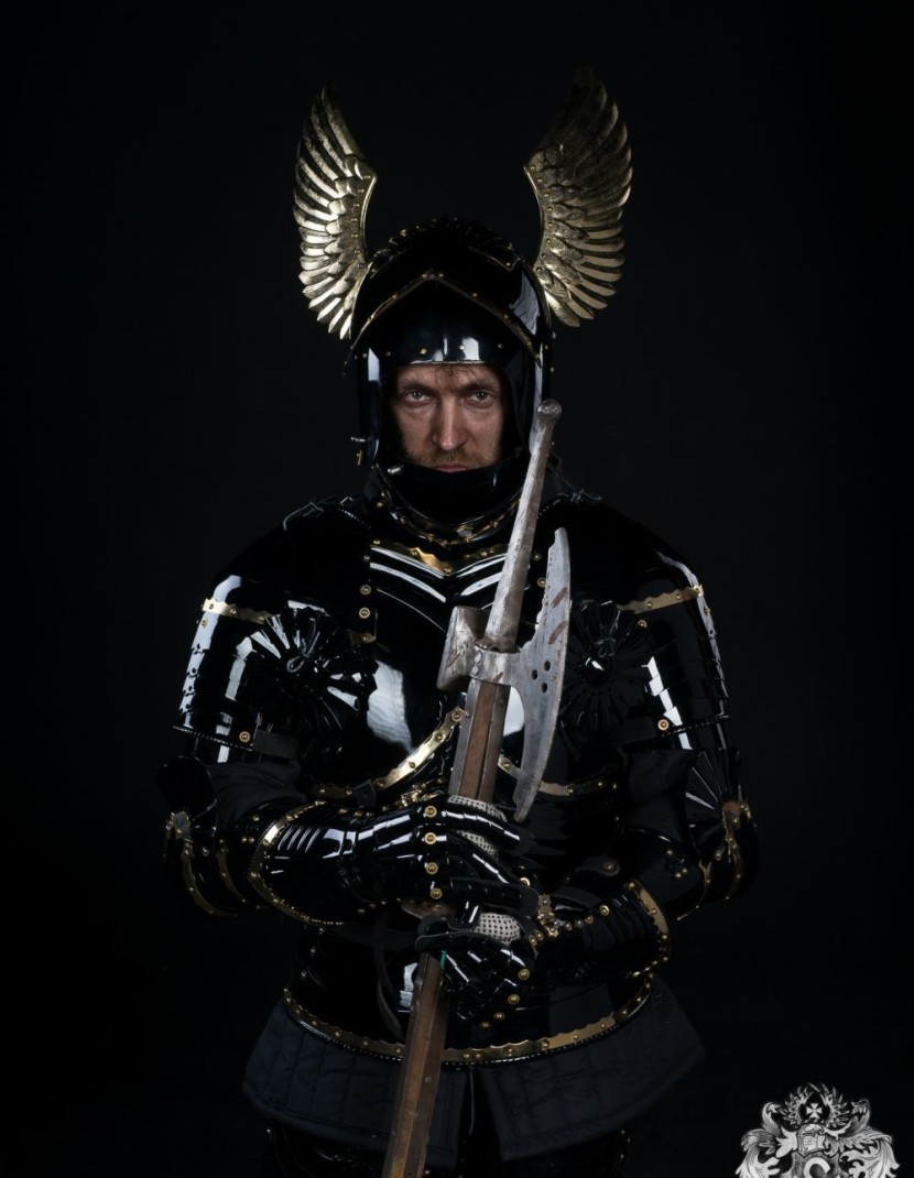 Full-plate Gothic armor, XV century photo made by Steel-mastery.com