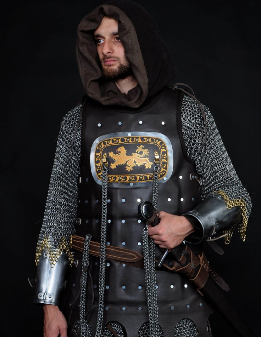 13 century European armour in colours of the English royal house photo made by Steel-mastery.com