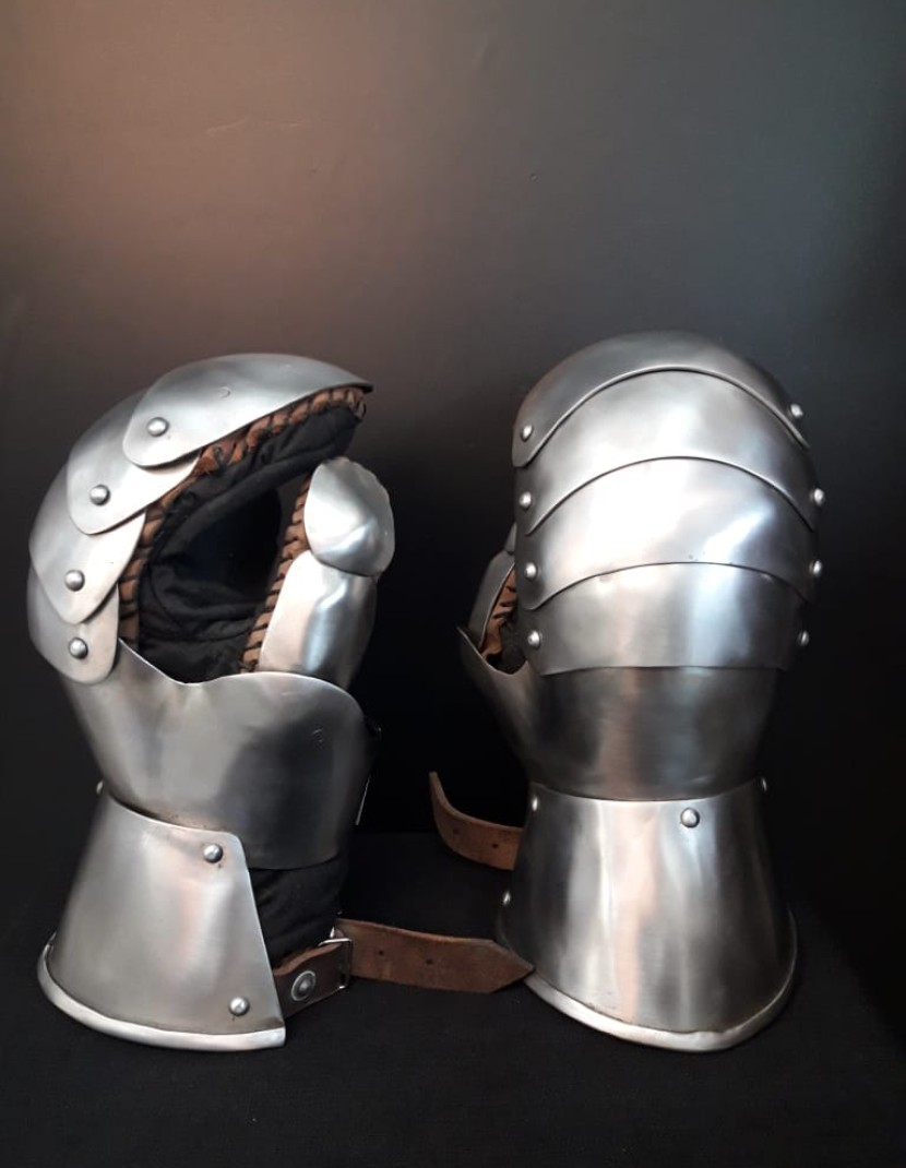 PLATE GLOVES photo made by Steel-mastery.com