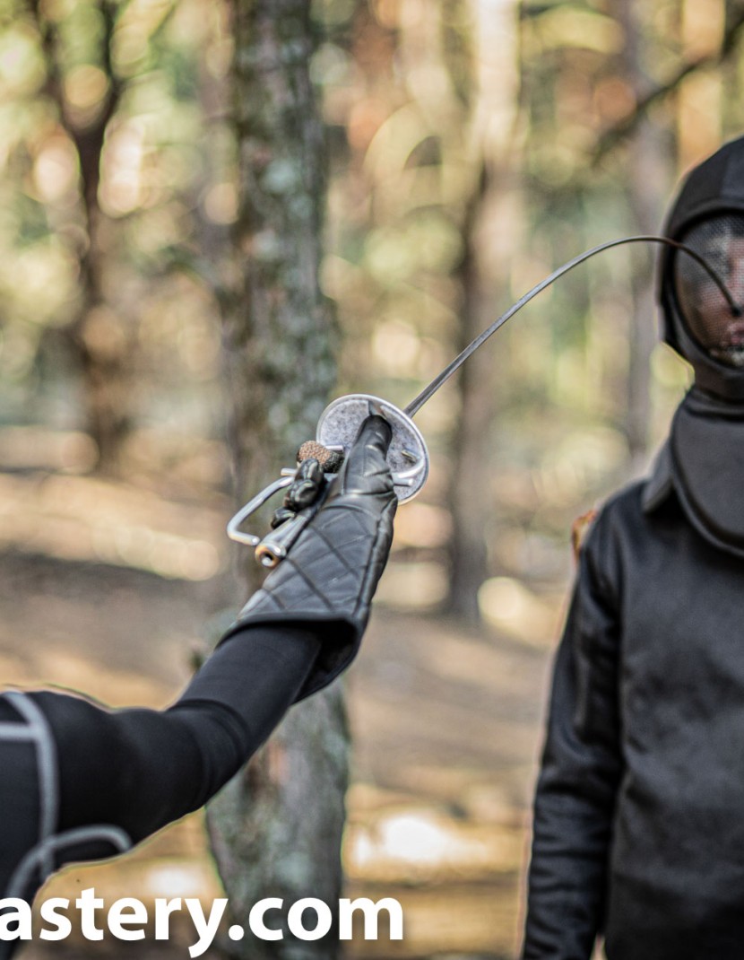 HEMA fencing mask 1000N photo made by Steel-mastery.com