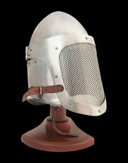 Fencing helmet