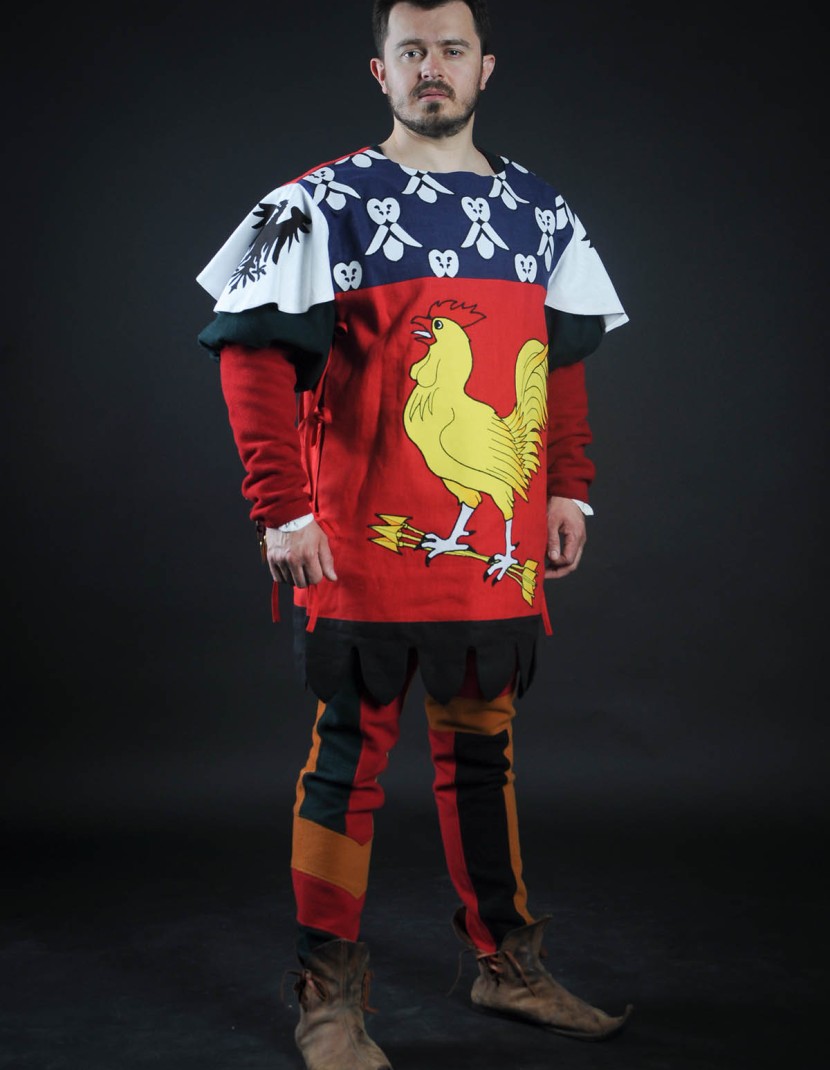 Coat of arms (tabard) with cock with arrows photo made by Steel-mastery.com