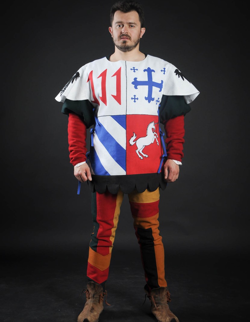 Quarter colored tabard with unicorn photo made by Steel-mastery.com