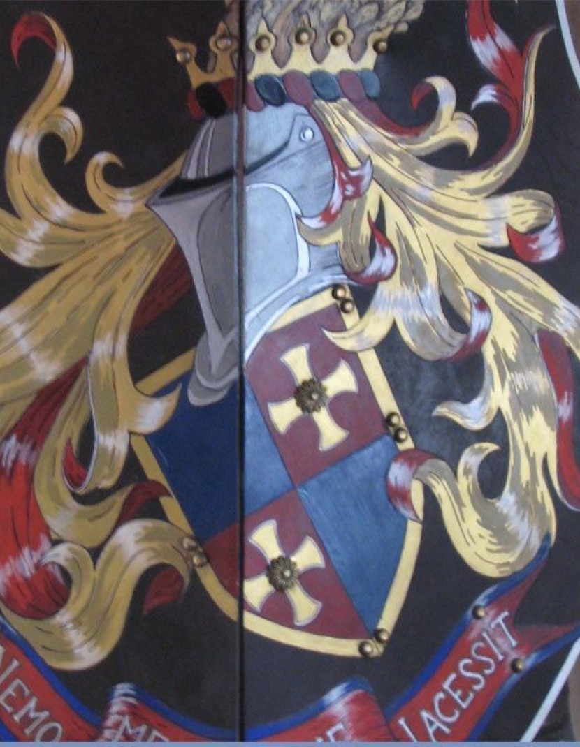 Aquiline Creased Shield photo made by Steel-mastery.com