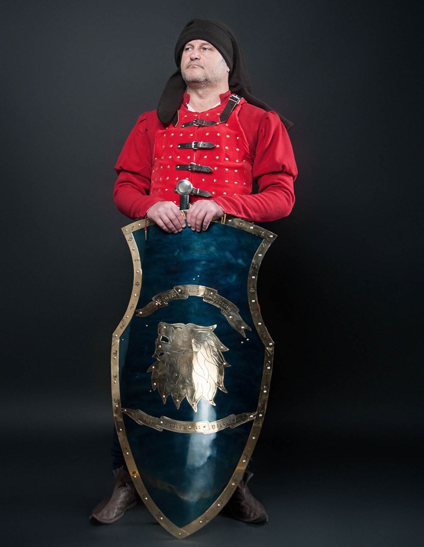 WARRIOR SHIELD photo made by Steel-mastery.com